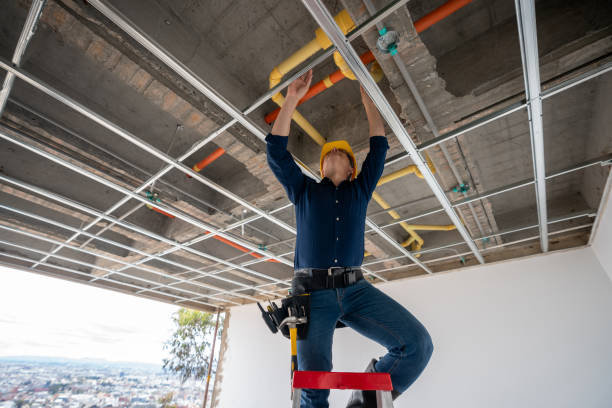 Best Clogged Drain Plumber  in Westville, NJ